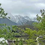 Zborowskiego