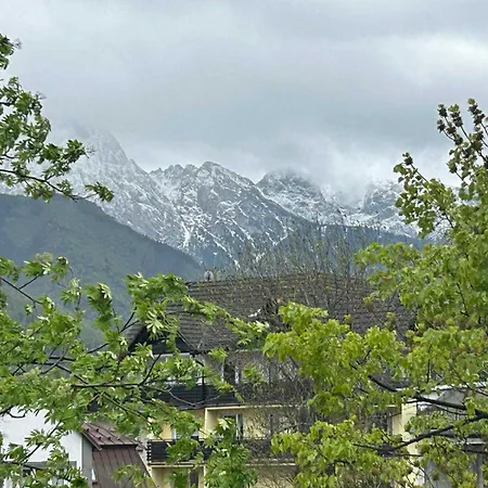 Zborowskiego